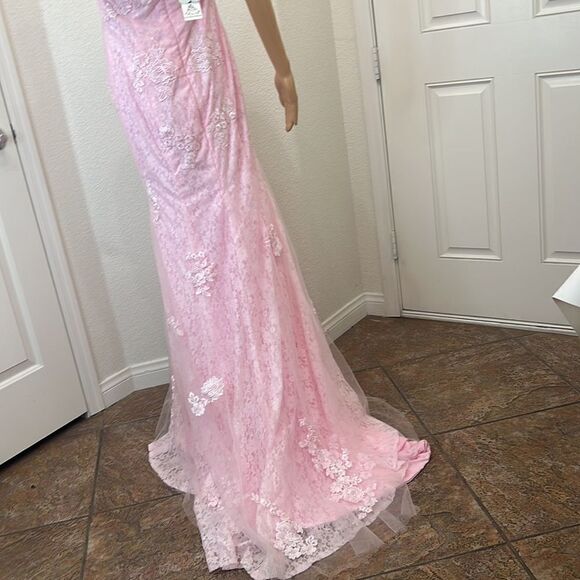 Hebron Pink Wedding Dress Sheer Embroidered Floral Lace High End - Picture 8 of 13